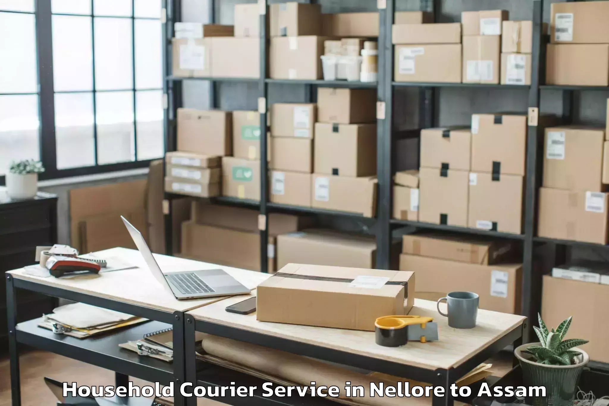 Book Nellore to Abhayapuri Household Courier